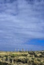 Free Volubilis Royalty Free Stock Images - 8656239