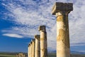 Free Volubilis Stock Images - 8656254
