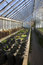 Free Greenhouse Stock Image - 8655241