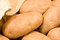 Free Potato Royalty Free Stock Photography - 8657077