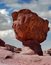 Free Stony Moshroom Stock Photos - 8657693