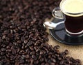 Free Surrounded By Aroma Stock Photography - 8662582