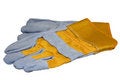 Free Protection Glove Royalty Free Stock Photography - 8662997
