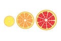 Free Citrus Slices Stock Photo - 8663880