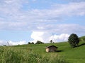 Free The Lawn Royalty Free Stock Photos - 8665288