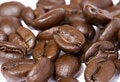 Free Coffee Stock Photo - 8668250