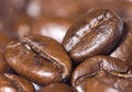 Free Coffee Royalty Free Stock Images - 8668279