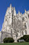 Free Cathedral(Washington National) Stock Photography - 8662872