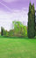 Free Weeping Willow Stock Image - 8666211