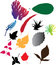 Free Set Icons - 103C. Leaves Stock Photo - 8669300