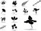 Free Set Icons - 56. Leaves Stock Images - 8669534