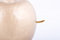 Free Golden Apple And Worm Royalty Free Stock Images - 8674569