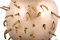 Free Golden Apple And Worm Royalty Free Stock Images - 8674629