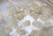 Free Russian Pelmeni Boiling In Pot Royalty Free Stock Photos - 8688888