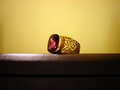 Free Ring Royalty Free Stock Photos - 873108