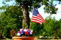 Free American Patriotism - Flag And Tree Stock Photography - 874862
