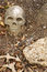 Free Man-made Human Skull Stock Photos - 878503
