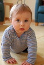 Free Wondering Royalty Free Stock Photos - 8726308