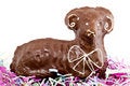 Free Easter Lamb Royalty Free Stock Photo - 8728945