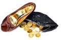 Free Ladies Footwear And Purse Stock Photos - 8732023