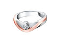 Free Jewelry Royalty Free Stock Photo - 8734845