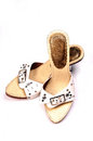 Free Ladies Footwear Royalty Free Stock Photos - 8737178