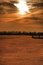 Free Jetty Royalty Free Stock Photos - 8733778