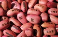 Free Beans With Symbol Stock Photography - 8740822