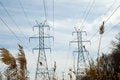 Free Power Line Towers And Bulrush Royalty Free Stock Photo - 8743965