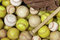Free Baseball Background Stock Photography - 8763482