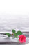 Free Rose Royalty Free Stock Image - 8777596