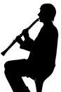 Free Musician Royalty Free Stock Photography - 8781177