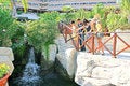 Free Teens At The Waterfall Stock Photo - 8781370