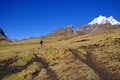 Free Hikers On Trail In High Andes Royalty Free Stock Image - 8797146
