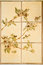 Free Floral Pattern Stock Photos - 8792373