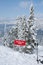 Free Sign Patrolled Area On Mountain Slope Stock Photography - 8799262