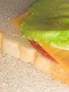Free Ham & Cheese Sandwich Stock Photography - 880452
