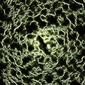 Free Green Abstract Royalty Free Stock Photography - 889997
