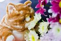 Free Toy And Flowers Royalty Free Stock Photos - 8819848