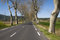 Free Country Road In France 1 Royalty Free Stock Photography - 8810147