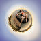 Free Sunset Beach Microworld Royalty Free Stock Images - 8810859