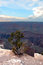 Free Grand Canyon National Park, USA Royalty Free Stock Images - 8817829