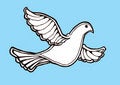 Free Dove In Flight Blue Stock Photo - 8821130