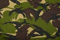 Free Camouflage Stock Photo - 8821940