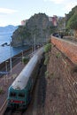 Free Manarola Stock Photography - 8826302
