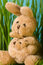Free Bunny Royalty Free Stock Photos - 8820138