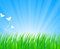Free Lush Grass. Royalty Free Stock Images - 8825129