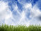 Free Grass Stock Photography - 8828012