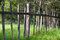 Free Old Fence In The Grass Royalty Free Stock Photos - 8835128