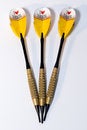 Free Darts Royalty Free Stock Photo - 8856385